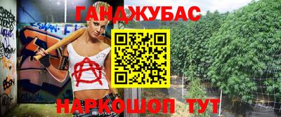 дмт Краснодар