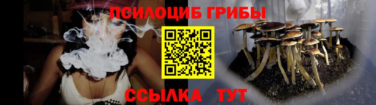 Галлюциногенные грибы Psilocybe Комсомольск-на-Амуре